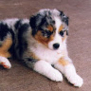 Meet your Posher, Christian